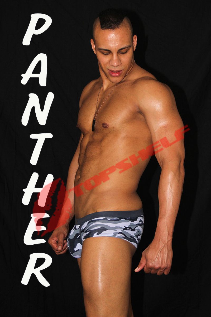 panther-1-7ab15622 Panther Atlanta Male Stripper in Georgia